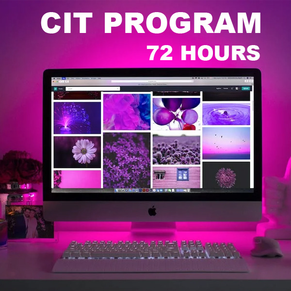 BIMT - CIT PROGRAM FOR BEGINNERS